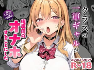 クラスの一軍ギャルが家出してきたので俺専用のオナホにすることにした