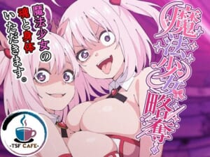 魔法少女略奪